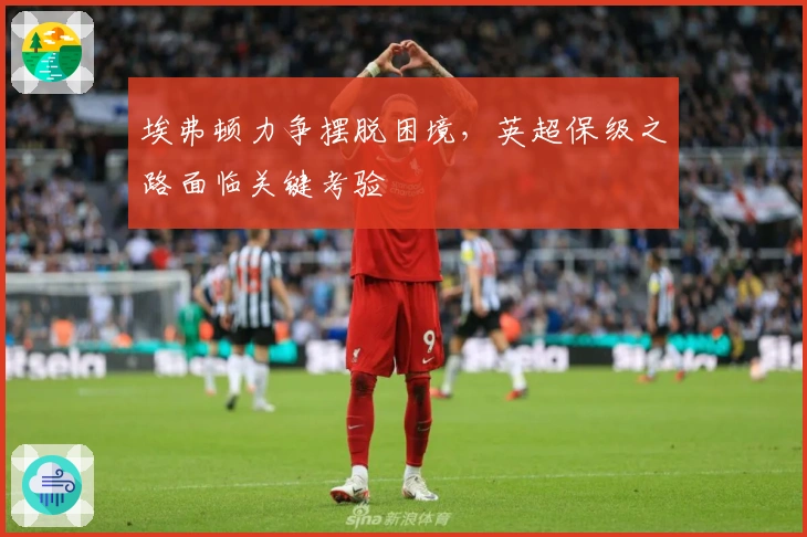 埃弗顿力争摆脱困境，英超保级之路面临关键考验