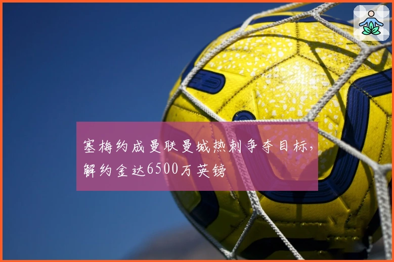 塞梅约成曼联曼城热刺争夺目标，解约金达6500万英镑