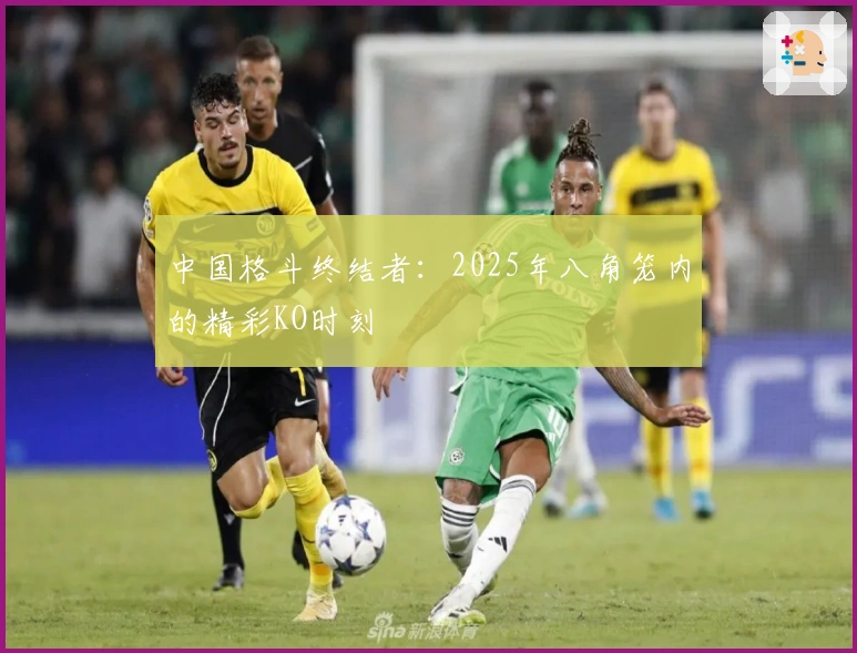 中国格斗终结者：2025年八角笼内的精彩KO时刻