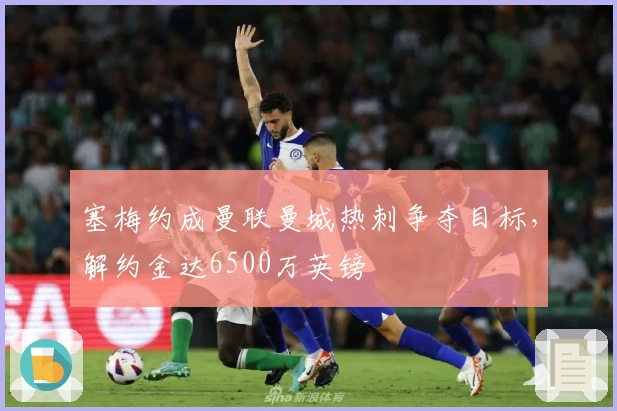 塞梅约成曼联曼城热刺争夺目标，解约金达6500万英镑